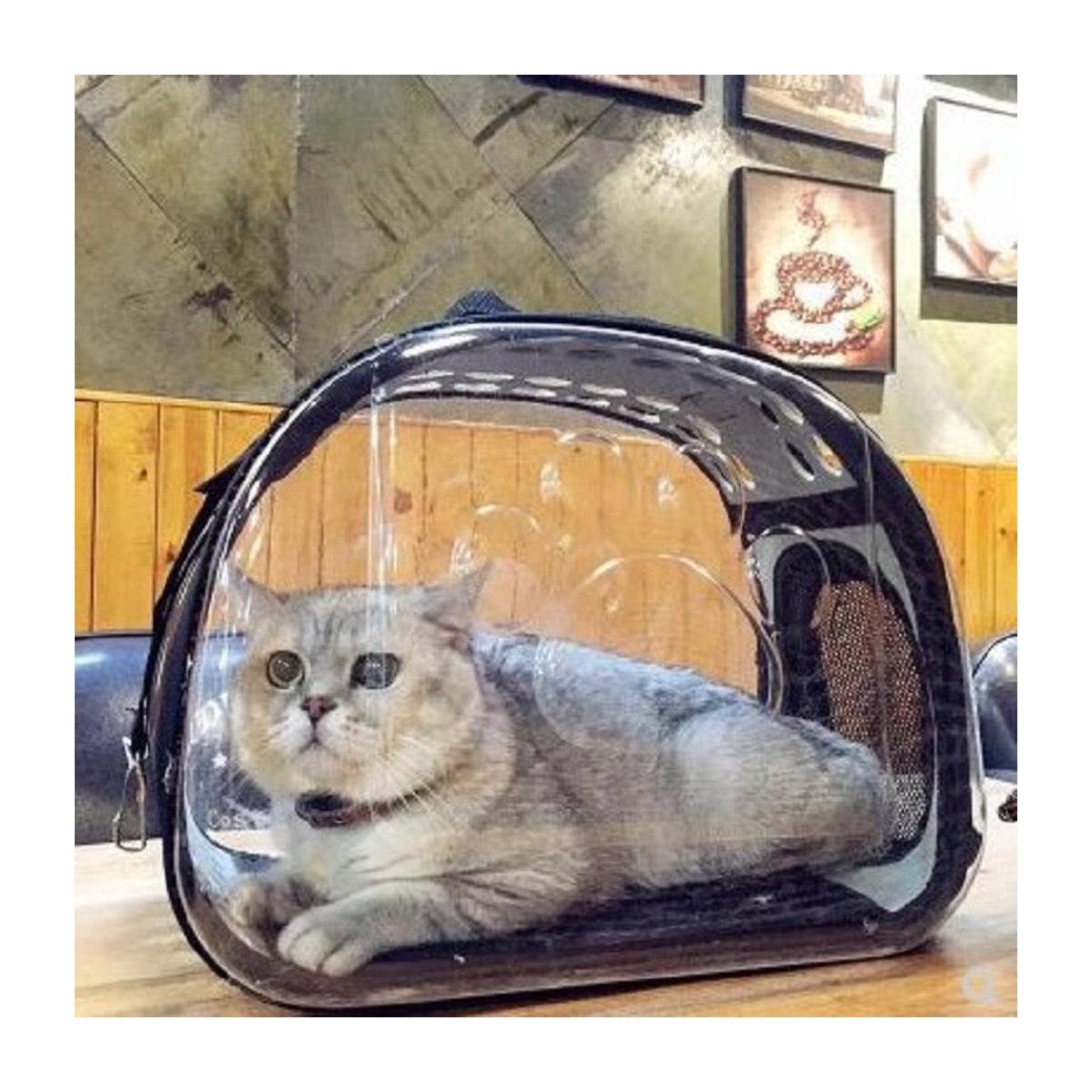 Transportín para gatos y perros