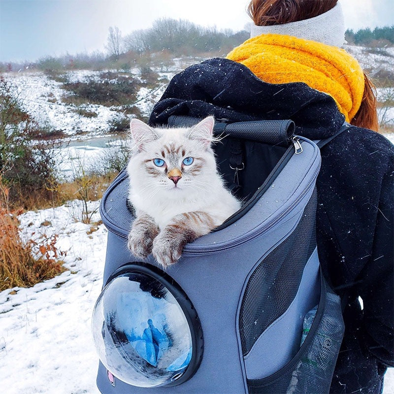 Mochila para gatos y perros