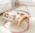 Cama para gatos y perros — Cálida en invierno, fresca en verano