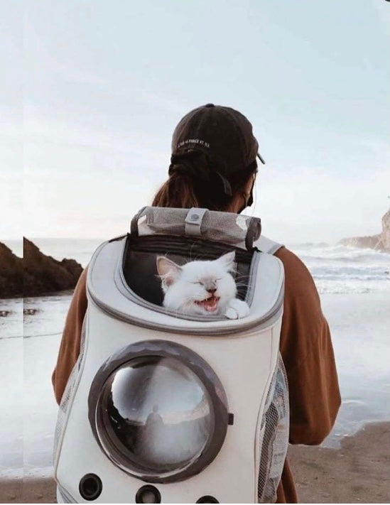 Mochila para gatos y perros
